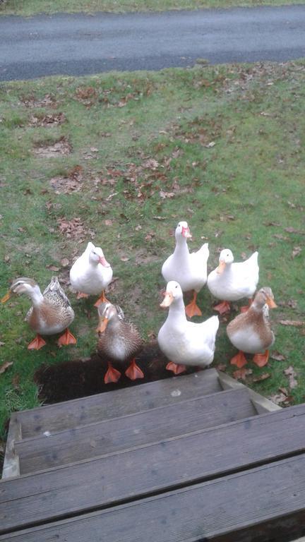 Dans Un Domaine A Campsite 4*
